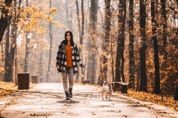 istock Autumn Walk With best friend 1175901461