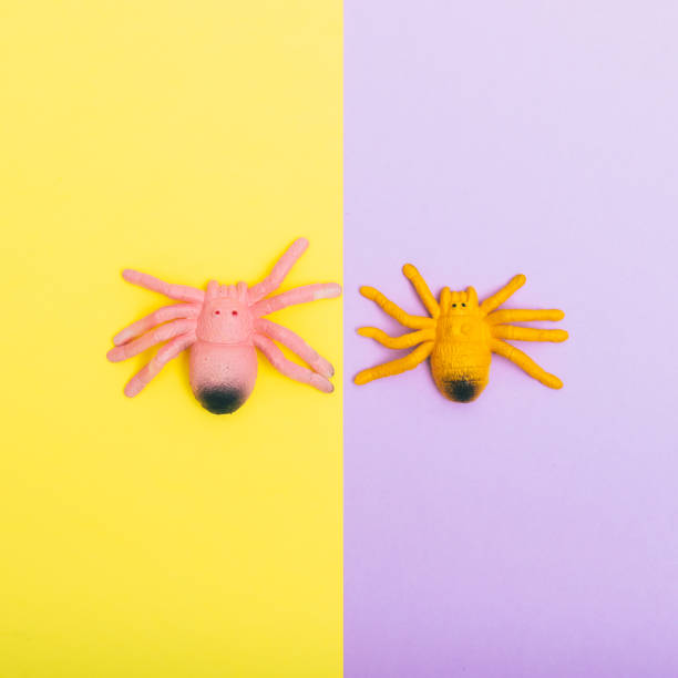 istock A scary painted spiders sit on yellow and pink background. Halloween decorations. Minimalism 1175904325