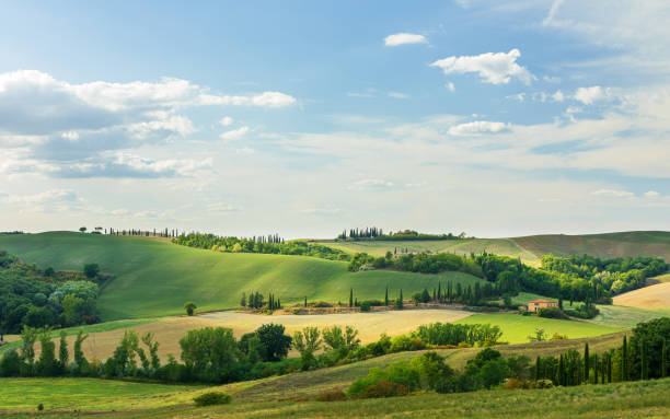 istock Tuscany countryside panorama, Italy 1175904560