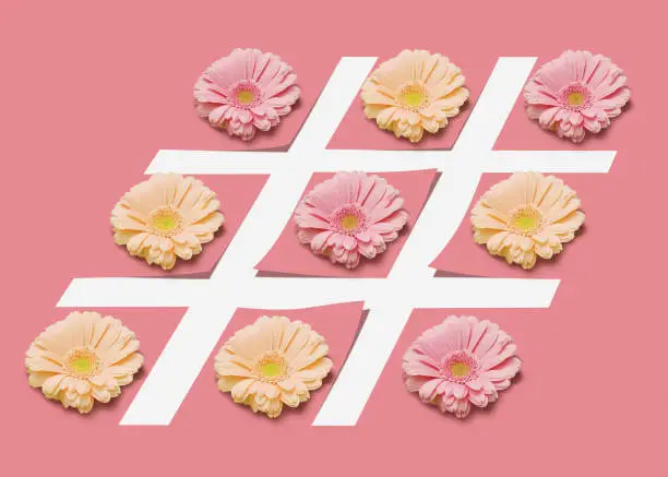 Photo of Hash tag sign with flowers on a pink pastel background.