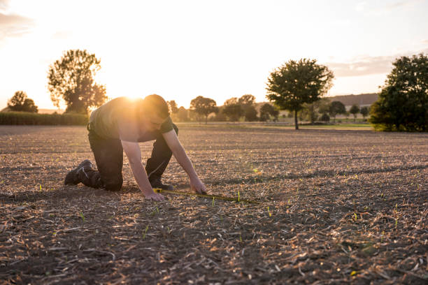 istock To calculate weeds, a farmer kneels in a rape field and measures with a folding ruler 1175908282