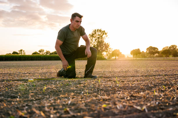 istock To calculate weeds, a farmer kneels in a rape field and measures with a folding ruler 1175908303
