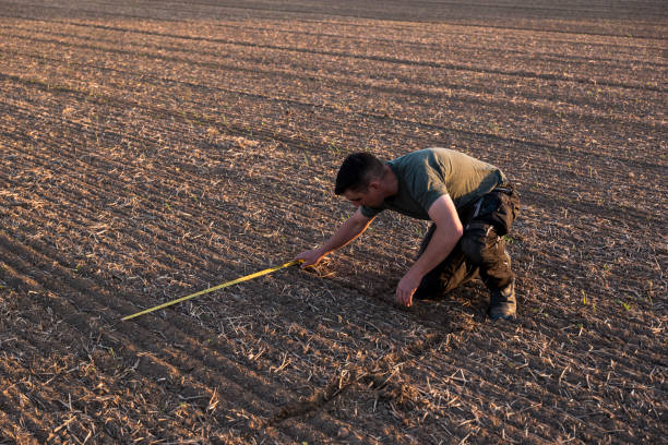 istock To calculate weeds, a farmer kneels in a rape field and measures with a folding ruler 1175908320