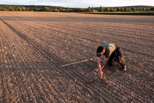istock To calculate weeds, a farmer kneels in a rape field and measures with a folding ruler 1175908337