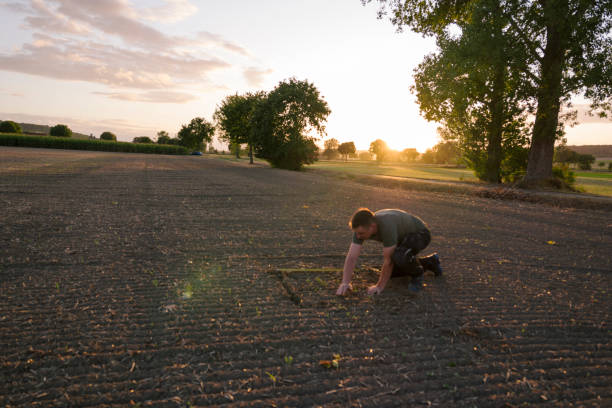 istock To calculate weeds, a farmer kneels in a rape field and measures with a folding ruler 1175908380