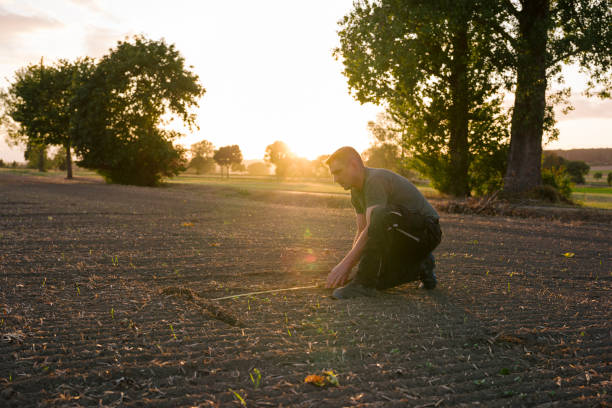 istock To calculate weeds, a farmer kneels in a rape field and measures with a folding ruler 1175908391