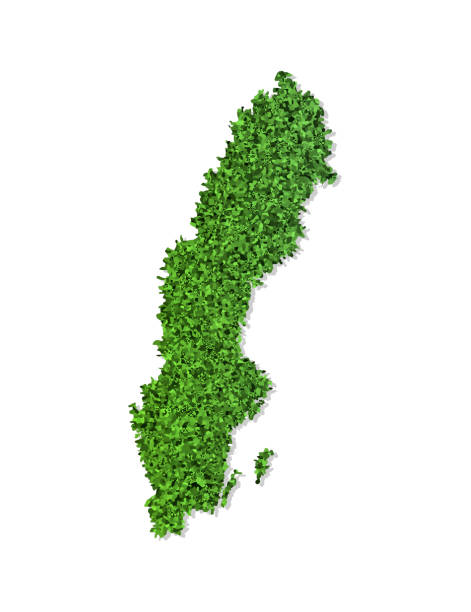 istock Vector isolated simplified illustration icon with green grassy silhouette of Sweden map. White background 1175908424