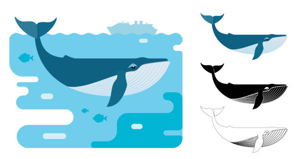 Blue whale icons. Flat vector illustration of blue whale. Decorative cute illustration for children. Graphic design elements for print and web. blue whale tail stock illustrations