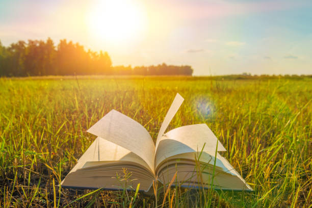 istock Open book on the green grass in the park. 1175911867