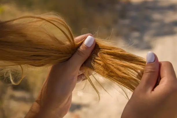 Girl holding dry brittle hair. Brittle damaged tips, hair loss.