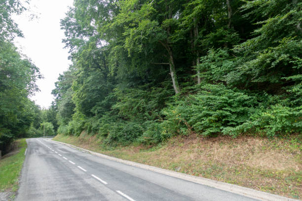 istock Road between Olot and Ripoll in the Catalan Pyrenees 1175912998