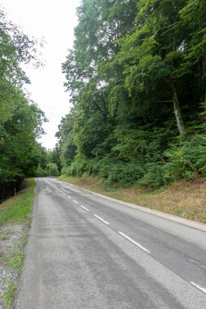 istock Road between Olot and Ripoll in the Catalan Pyrenees 1175913037
