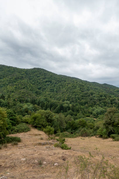 istock Road between Olot and Ripoll in the Catalan Pyrenees 1175913149