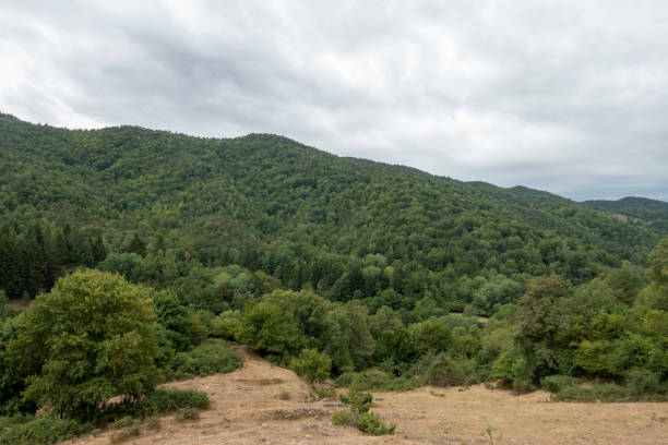 istock Road between Olot and Ripoll in the Catalan Pyrenees 1175913171