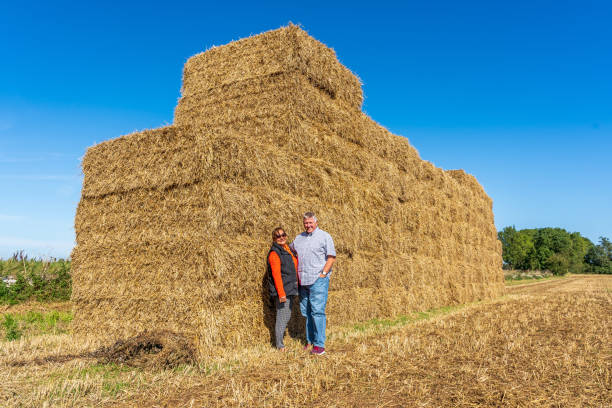 istock Senior multiracial couple  on hay bales 1175914981