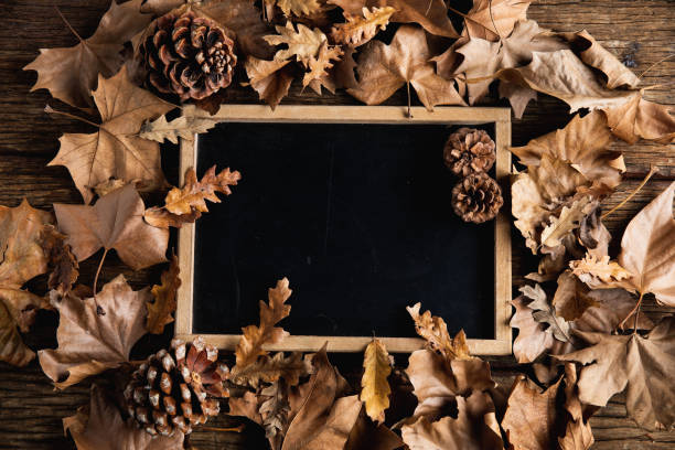 istock Autumnal flat lay with chalkboard 1175915056