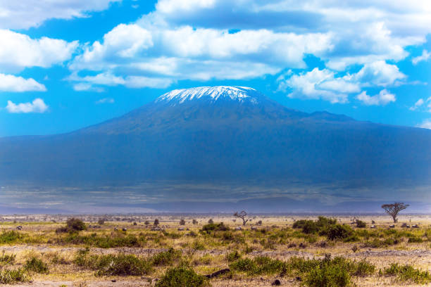 istock Impressive travel to Africa 1175916013