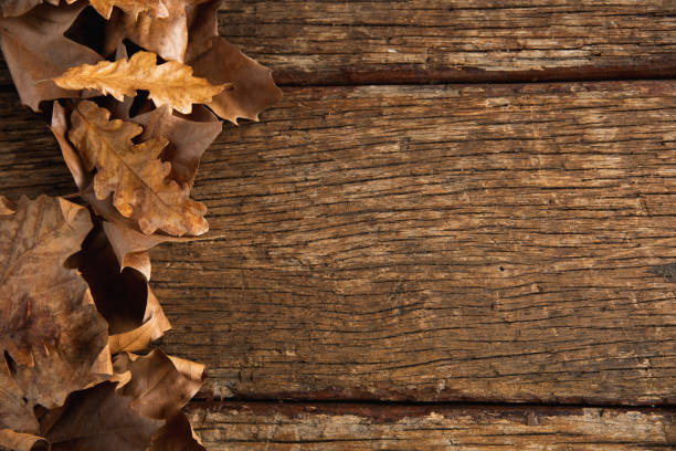 istock Autumn flat lay with leaves 1175916927