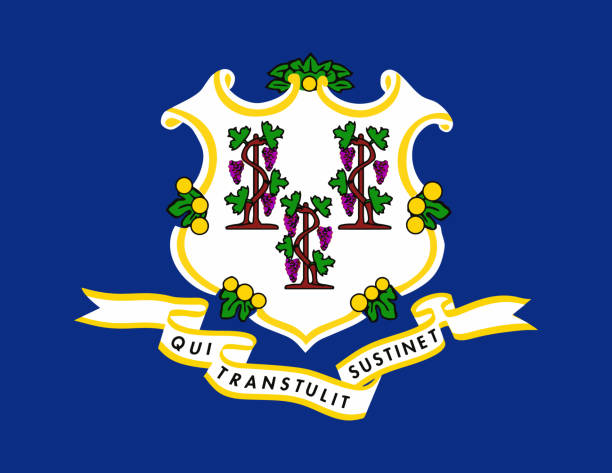 istock Flag of the USA State of Connecticut, vector 1175920987
