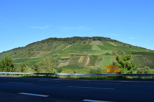 steep Mosel valley vineyards