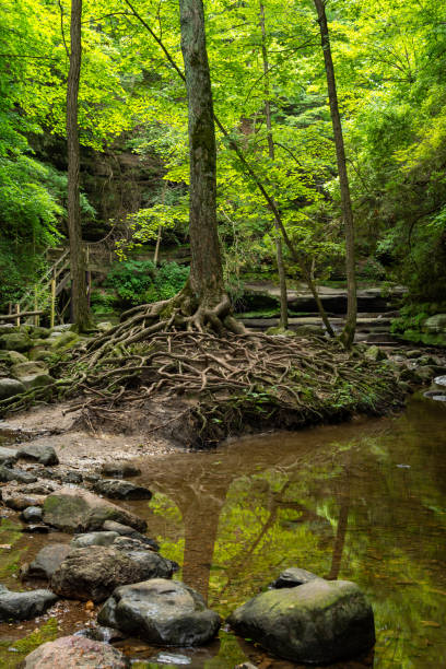 istock Matthiessen state park trails.  Illinois. 1175924080