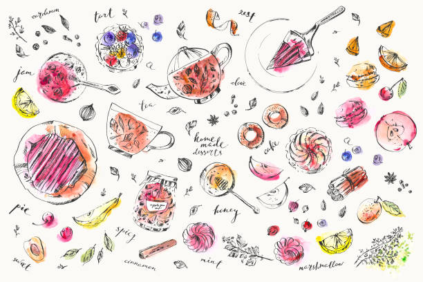 ilustrações, clipart, desenhos animados e ícones de ilustração desenhada mão do alimento e da bebida. - food illustration and painting painted image mint