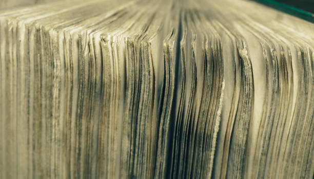istock Close up old book pages background. Macro view. 1175925818