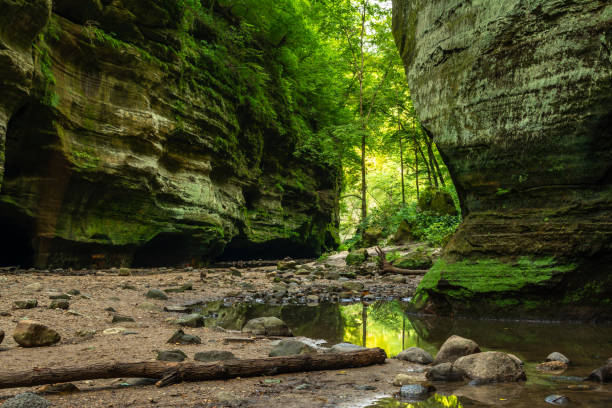 Sandstone canyon in Matthiessen state park, Illinois.