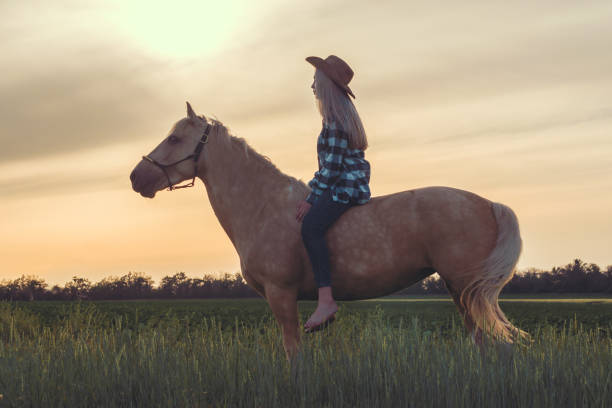 joven vestida con un sombrero de vaquero y jeans azules se sienta en un caballo en el telón de fondo de la puesta de sol en el rancho - cowboy blue meadow horizontal fotografías e imágenes de stock