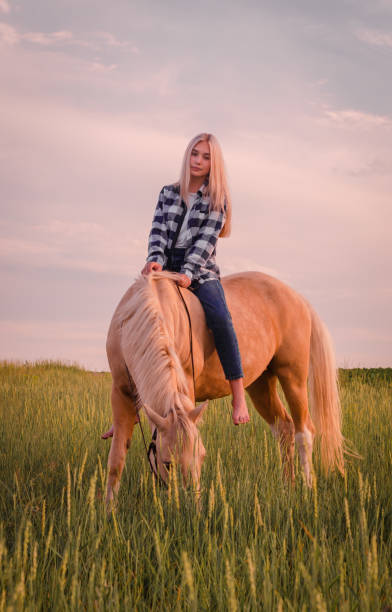 młoda blondynka ubrana w niebieskie dżinsy i koszulę w kratę siedzi na koniu na polu na ranczu - cowboy horseback riding nature blue zdjęcia i obrazy z banku zdjęć