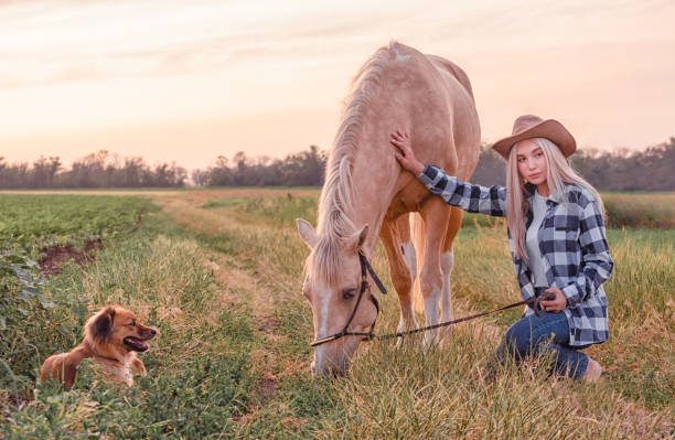 junge blonde mädchen in einem cowboyhut und blaue jeans mit einem beige pferd und einem hund auf der ranch gekleidet - cowboy blue meadow horizontal stock-fotos und bilder