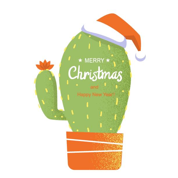 istock Merry Christmas card with cactus and holiday text. Vector color greeting card illustration isolated on white 1175928727
