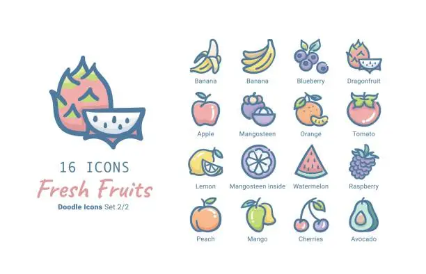 Vector illustration of Fresh Fruits vector icon collection 2