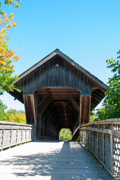 istock Wooden bridge in Guelph 1175937094