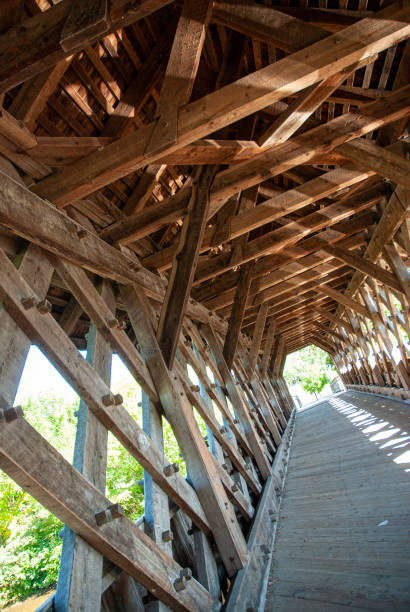 istock Wooden bridge in Guelph 1175937220
