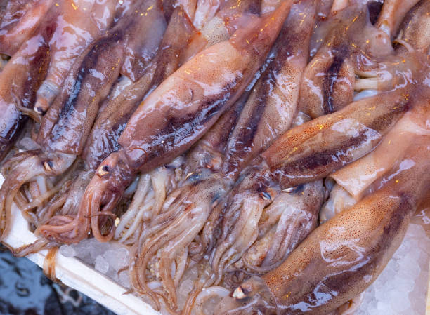 рыба на морском рынке - coryphaena стоковые фото и изображения