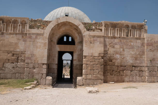 istock Ruins in Amman c'tadel 1175951536