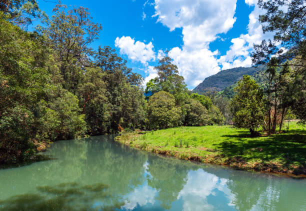 istock River landscape view, Gold Coast, Queensland, Australia 1175959350