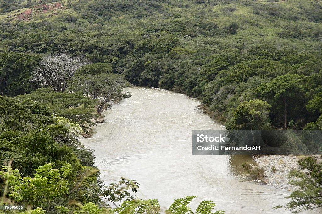 Panamá ´ s Floresta pluvial - Royalty-free América Central Foto de stock