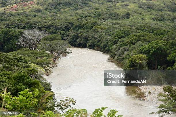 Panamá S Floresta Pluvial - Fotografias de stock e mais imagens de América Central - América Central, América Latina, Ao Ar Livre