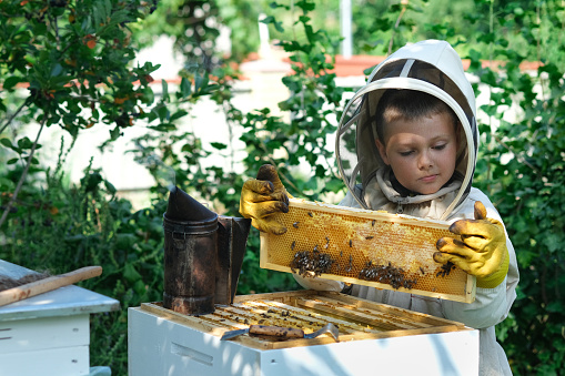 Cheerful boy beekeeper in protective suit near beehive. Honeycomb with honey. Organic food concept. The most useful organic honey. Attracting children to beekeeping