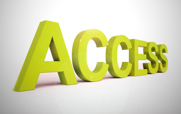 istock Access security icon means control of admission to a website or system - 3d illustration 1175960313
