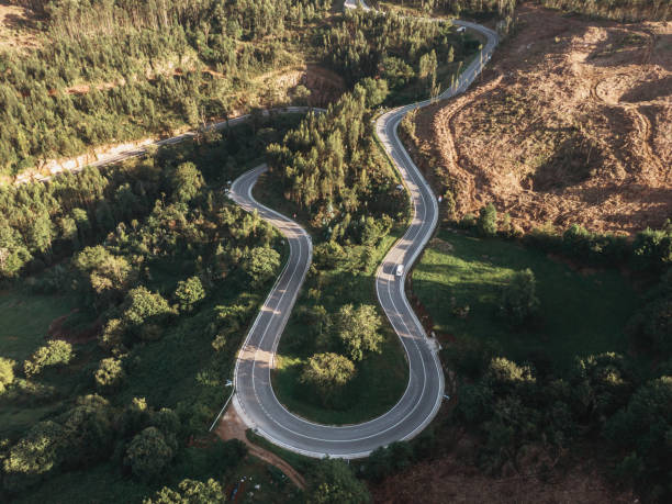 Road with curves in a rural area as seen from above
