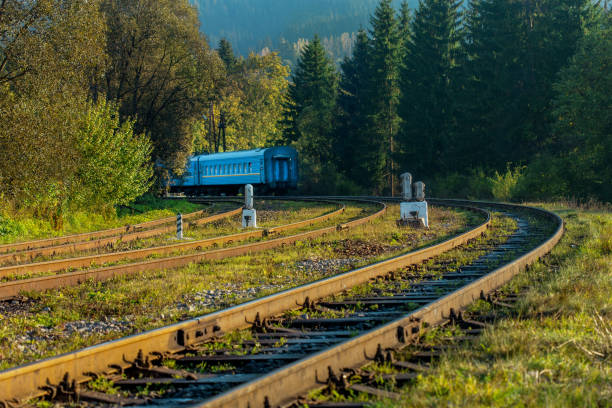 istock railroad track through the forest in autumn  on a sunny day 1175961965