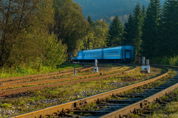 railroad track through the forest in autumn  on a sunny day