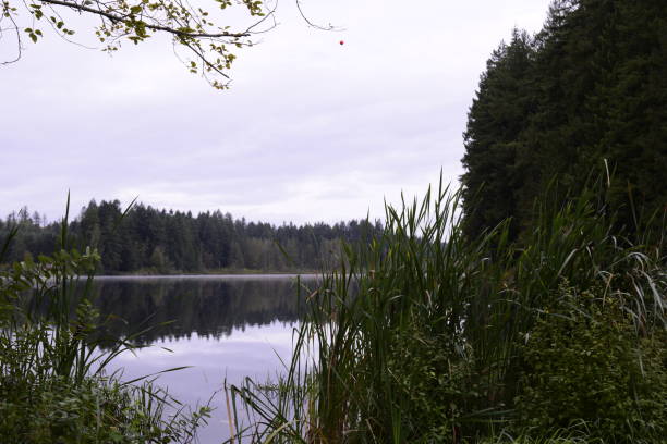 Deep Lake Against Cloudy Sky At Millersylvania State Park