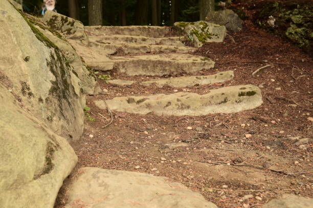 istock Stone Steps At Millersylvania State Park 1175964145