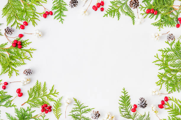 istock Flat lay christmas frame with evergreen tree branch and berries on a white background 1175965265