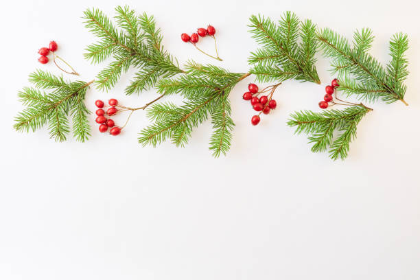 istock Flat lay christmas border with evergreen tree branch and berries on a white background 1175965294