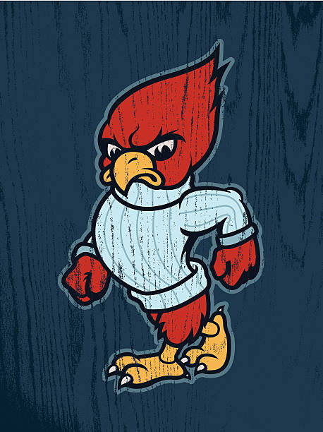 Carl the Cardinal  cardinal mascot stock illustrations